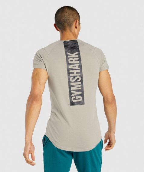 Koszulki Gymshark Bold Męskie Szare | PL 096DAL